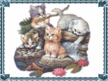 kittens.gif